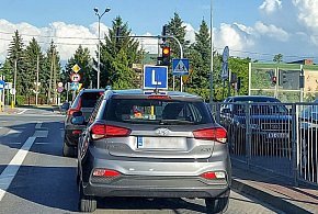 Egzamin na prawo jazdy będzie inny. Od 1 lipca nowe zasady-364799
