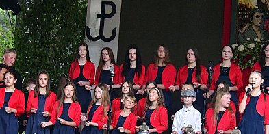 Bitwa pod Osuchami. Patriotyczne uroczystości-364904