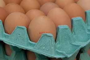 Salmonella na jajach znanej marki. Nie jedz, jeśli masz je w lodówce!-364956