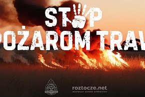 Stop pożarom traw. Będą wyższe kary za wypalanie-365098