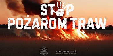 Stop pożarom traw. Będą wyższe kary za wypalanie-365098