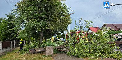 Lubelskie/ Ponad 300 interwencji w związku z przejściem frontu  burzowego-365124