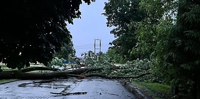 Lubaczów: po nawałnicy kolejne burze – zachowaj ostrożność-365147