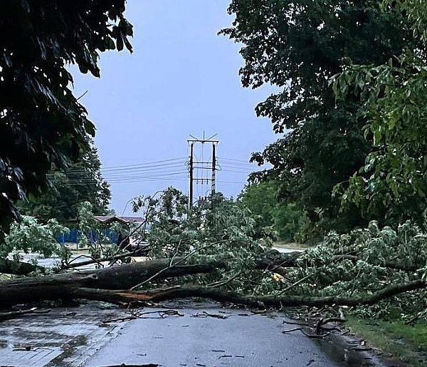 Lubaczów: po nawałnicy kolejne burze – zachowaj ostrożność-365147