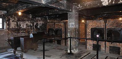 1 mln osób zwiedziło już w tym roku Muzeum Auschwitz-365220