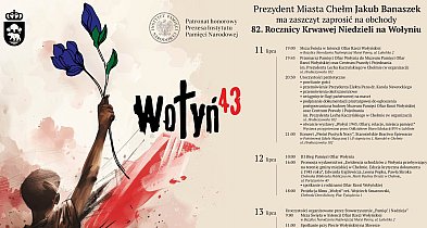 Obchody 82. rocznicy Krwawej Niedzieli na Wołyniu w Chełmie-365218