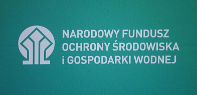 Właściciele pieców gazowych będą mogli w ciągu trzech miesięcy rozliczyć je-365306