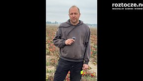 Rolnik z Niewirkowa odda pomidory na remont kościo