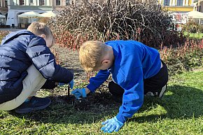 Zazieleniamy Zamość-6104