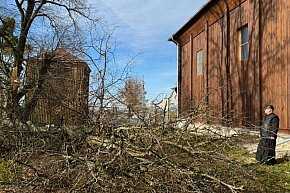 Drzewo runęło przy kościele w Dubie-6118