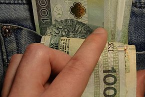 Nowe zasady 800 plus. ZUS sprawdzi zatrudnienie-366405