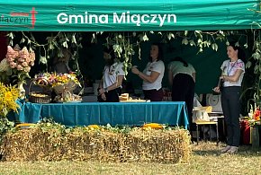 Rekordowe Dożynki w Gminie Miączyn-366542