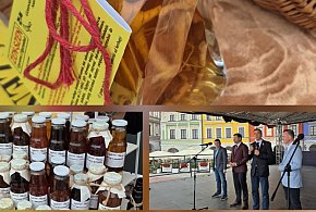Smak natury bez kompromisów – Festiwal Żywności Wolnej od GMO w Zamościu-366611