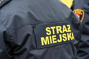 Zapuka strażnik, zapłacisz karę. Ruszyły kontrole w całej Polsce-367171