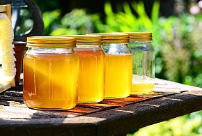 Ponad 4 tys. kontroli towarów rolno-spożywczych z Ukrainy-367469