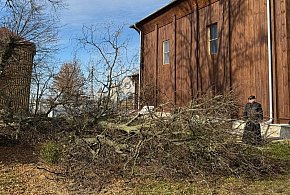 Drzewo runęło tuż obok zabytkowego kościoła w Dubie-367484