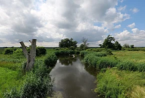 Co dalej z nowym parkiem narodowym? Minister klimatu zdradza plan po wecie-367724