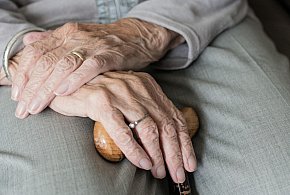 Te osoby dostaną dwie emerytury w grudniu. ZUS przesuwa przelewy-368048