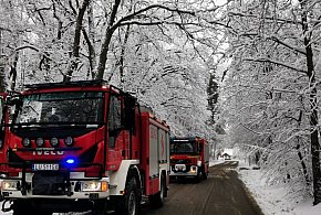 Zimowe interwencje strażaków z zamojskiego-368055