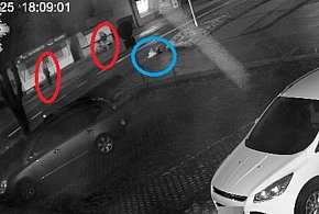 Leżał na jezdni kilka minut. Nikt nie pomógł-368331