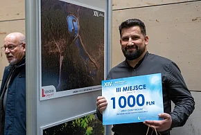 Lubelskie zachwyca filmem i fotografią-368634