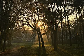 Nadchodzi najkrótszy dzień w 2025 roku. Sprawdź, kiedy przypadnie-368752
