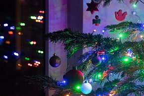 Choinka niejedno ma imię-368804