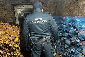 Zlikwidowana nielegalna krajalnia tytoniu-368803