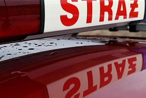 PSP: 361 pożarów w pierwszy dzień świąt; zginęły dwie osoby-368890