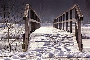 Leżała 5 godzin na mrozie! Policjanci w Trzeszczanach znaleźli wyziębioną 32-latkę-368971