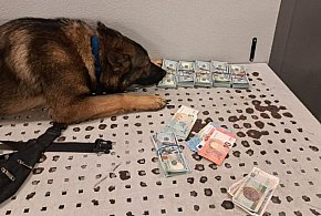 W Hrubieszowie KAS ujawniła niezgłoszoną gotówkę na granicy-368998