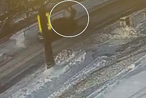 Potrącenie pieszej na pasach w Chełmie-369265