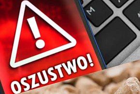 Kupili pellet, stracili tysiące. Fałszywe sklepy znów atakują-369343