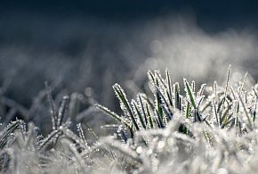Mróz sprawił, że zamknięto ponad 300 szkół