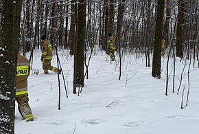 Tragiczny finał poszukiwań mieszkańca Tomaszowa Lubelskiego