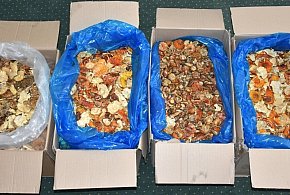 Na granicy zatrzymano 34 kg czerwonych muchomorów z Ukrainy