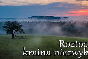 Roztocze – kraina niezwykła. Wystawa fotografii Ewy Marszalec