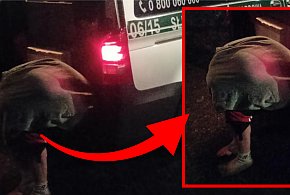 Półnagi mężczyzna w Zamościu wylądował w krzakach