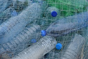 Badanie: 62 proc. Polaków oddaje opakowania w systemie kaucyjnym