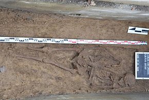 Lublin/ IPN odnalazł szczątki prawdopodobnie więźniów straconych na Zamku