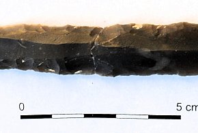 S17 odsłania historię: ponad 100 tys. zabytków spod ziemi Zamojszczyzny