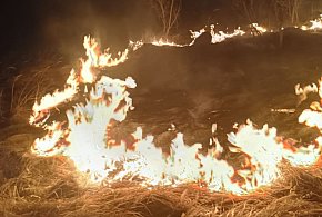 Pożar traw w Rejowcu Fabrycznym. Policjanci zapobiegli tragedii