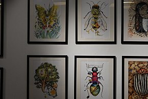 Las pełen opowieści – wernisaż Agnieszki Rzeźniak SzurSzur w Biłgoraju