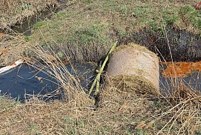 Zamość: plama na cieku wodnym przy ul. Północnej