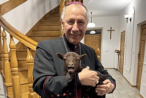 Niedziela Dobrego Pasterza w diecezji – modlitwa o powołania