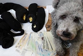 4,5 mln zł ukryte przed kontrolą celną