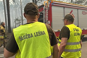 Pożar w Puszczy Solskiej: trwa szacowanie strat