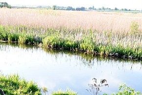 Tragedia w gm. Sułów. 69-letni wędkarz utonął w rzece