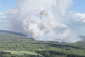 Płoną lasy na Mazowszu. Pożar jak  w Puszczy Solskiej