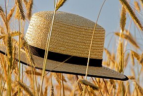 21 czerwca to pierwszy dzień lata, ale był taki rok, w którym lato nie nadeszło